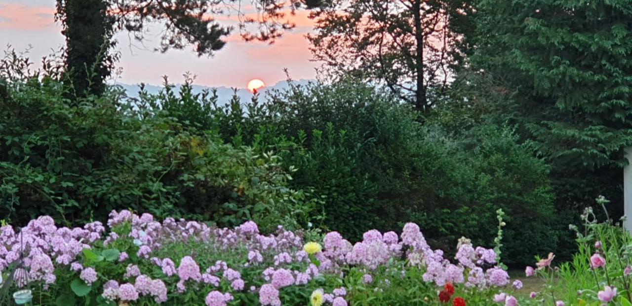 Crown Roads Bed and Breakfast Le Faouët Exteriör bild