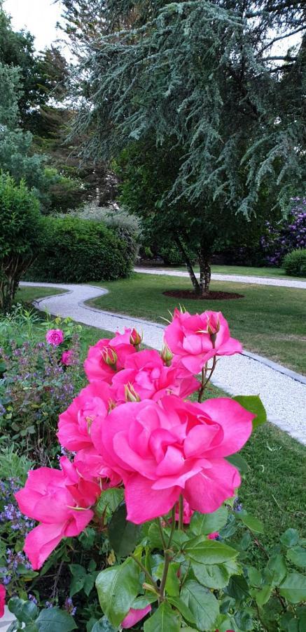 Crown Roads Bed and Breakfast Le Faouët Exteriör bild